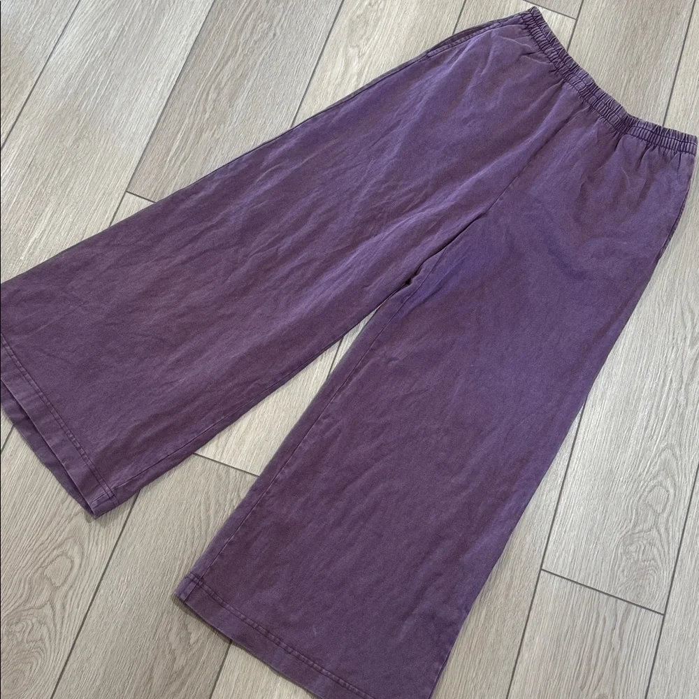 Z Supply Scout Wide Leg Pants in Plum - Picture 2 of 9